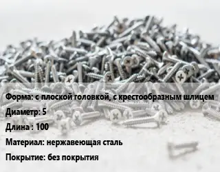 Шуруп с плоской головкой, с крестообразным шлицем 5х100 нержавеющая сталь без покрытия